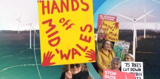 Battle of the wind farms: Can the ‘blockers’ beat the government? | Science, Climate & Tech News