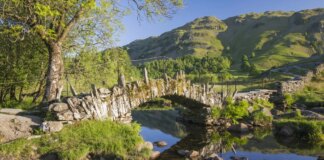 String of cancer-causing ‘forever chemicals’ discovered around Lake District