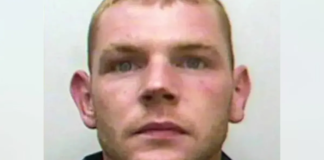 Army veteran who murdered and dismembered mum with meat cleaver set to be released from prison early