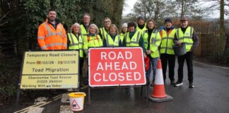 Council close road for 6 WEEKS to allow for major toad migration