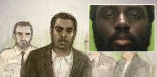 Valdo Calocane was free to carry out his killing spree after ‘mental health workers feared detaining him would be racist’, inquiry told