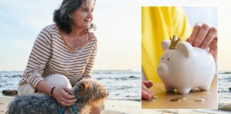 Pension WIN as retirees snap up £80,000 annuities as rates boost guaranteed income