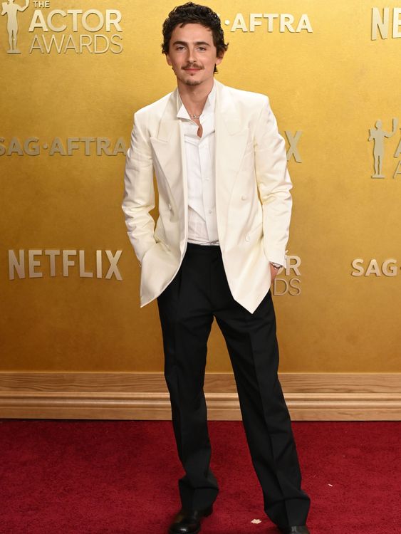 Marty Supreme star Timothee Chalamet. Pic: David Fisher/Shutterstock/Netflix