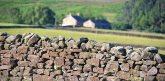 Couple wins battle to live in farmhouse after living there illegally for 28 years