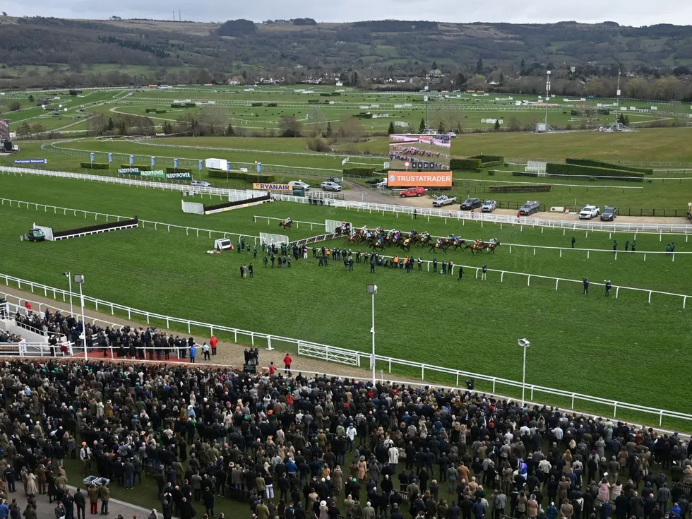 Removing a horse from one race does not necessarily end their Festival involvement, as many are simply being redirected to their primary targets