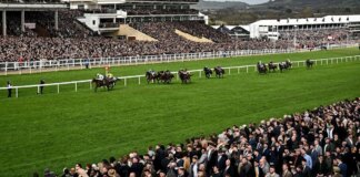 Why over 50 horses have been removed from Cheltenham Festival
