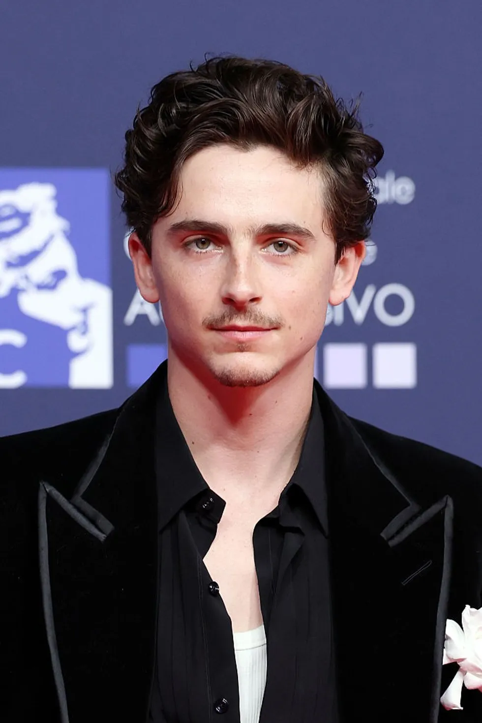 Timoth\u00e9e Chalamet