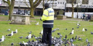 Brent Council threatens Britons with five years in prison for feeding birds