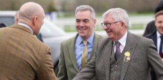 Mike Tindall mingles with Sir Alex Ferguson at Cheltenham