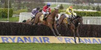 Cheltenham horse dies after collapsing following Gold Cup in tragic scenes to mark third death at Festival