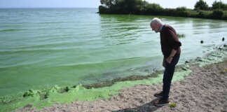 UK’s largest lake which supplies drinking water to THOUSANDS of Britons home to genes capable of creating antibiotic-resistant superbugs
