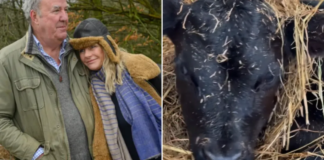 Jeremy Clarkson welcomes adorable new arrival after ‘late night’ at Diddly Squat Farm