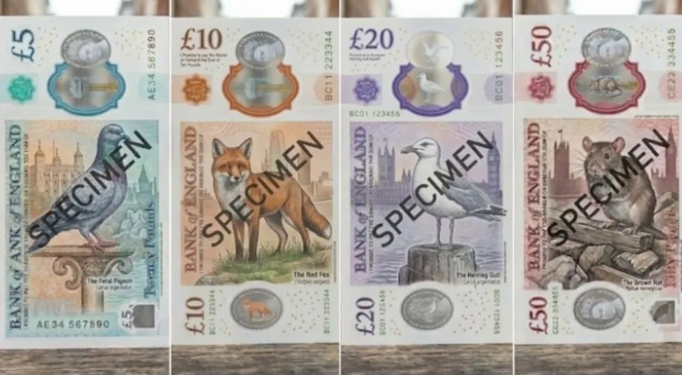 RSPCA banknotes
