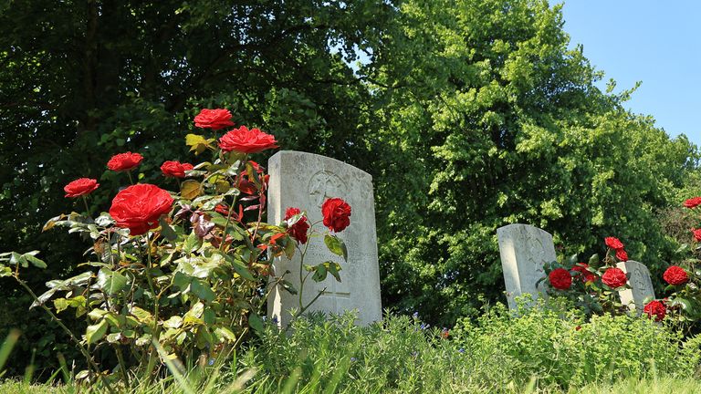 No grave could be reused a century after the last burial under new plans. File pic: iStock