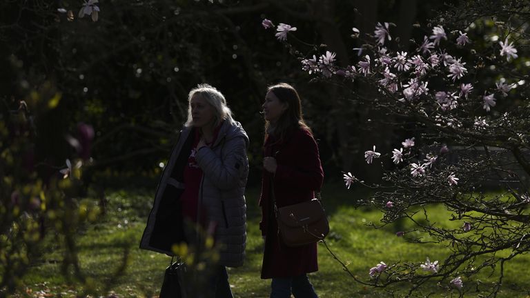 Early magnolia blooms at the Royal Botanic Gardens, Kew. Pic: PA