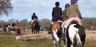 Trail hunting ban could hurt rural communities and bring end to part of British countryside culture