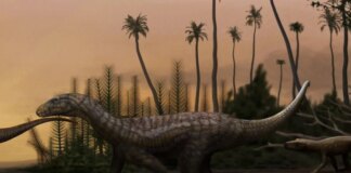 Brazil fossil of giant dinosaur reveals continents were connected 120 million years ago
