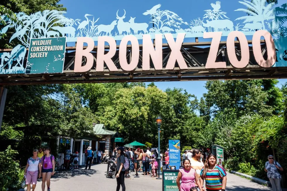 \u200bThe New York zoo