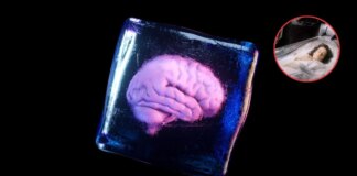 Can humans be brought back to life?