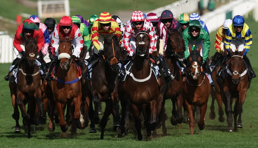 HMS Seahorse (third from the right) tragically died after falling