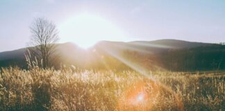 Endless sunlight coming soon? Scientists say think twice