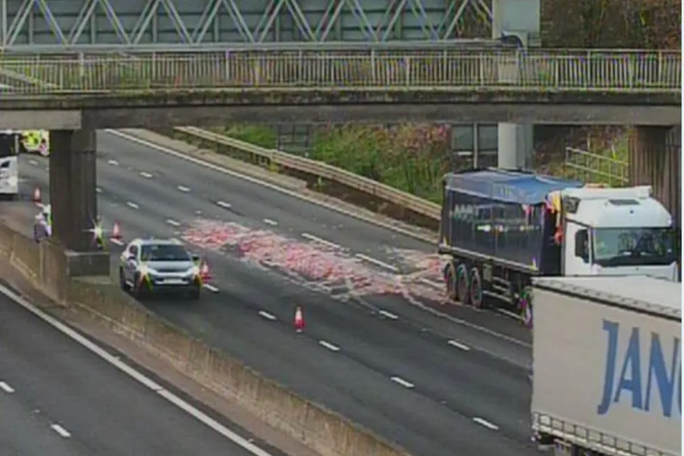 Offal strewn across the M6 motorway
