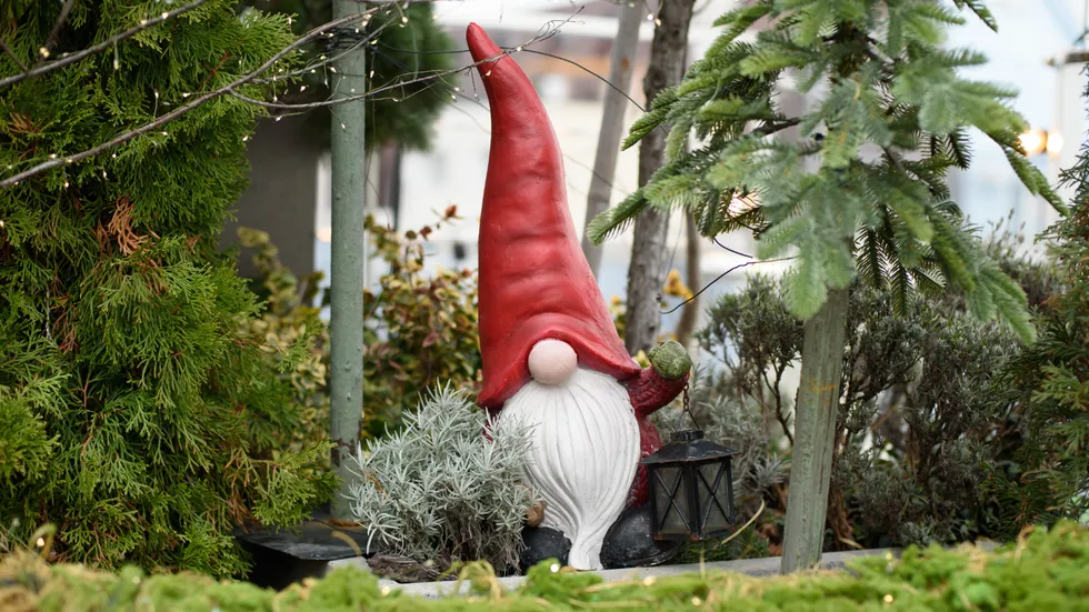 Garden gnome