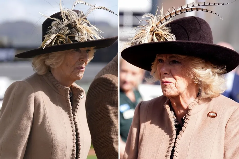Queen Camilla