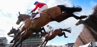 Third horse dies at Cheltenham festival after Gold Cup race