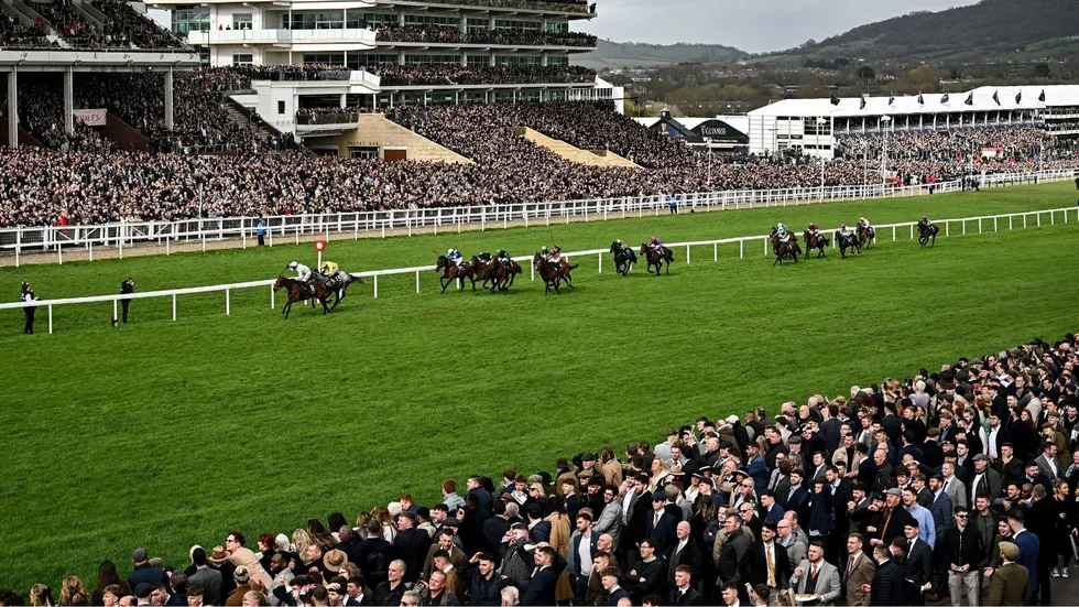 Trainers have withdrawn more than 50 horses from Cheltenham Festival entries as they finalise their plans for jump racing's premier meeting