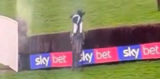 Jockey Charlie Marshall banned for ‘extremely unpleasant’ decision on horse with ‘no more to give’ in chaotic race at Fakenham Racecourse