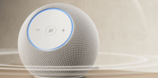 Homeowner has noisy Amazon Echo Dot confiscated following complaints