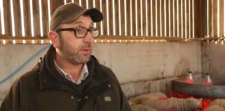 Spring Statement: Farmer despairs at ‘sticking plaster’ U-turn ahead of announcement