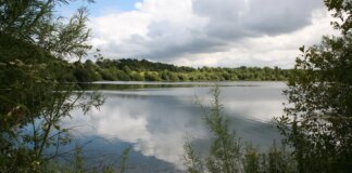 Cheshire county park visitors left outraged as ‘prison’ fence erected