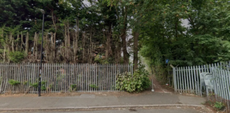 Man found dead inside wheelie bin as police reveal body may have been moved ‘after being hit by car’