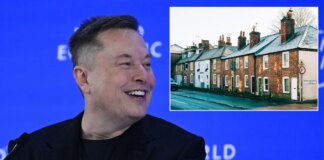 Elon Musk firm approved by Ofgem to supply energy to British homes