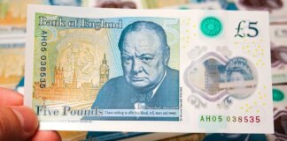 Bank of England should replace Winston Churchill by RATS on new banknotes says RSPCA