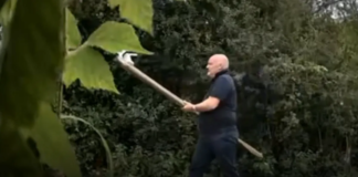 HSBC executive caught on CCTV hacking down security cameras with axe amid row with landowner