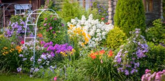 Council to pay for new plants after worker chops down 30,000 bulbs in park