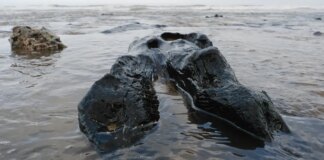 Ancient secrets revealed along iconic British coastline after sea washes sand away