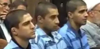 Wrestling champion Saleh Mohammadi, 19, ‘tortured into confessing crime’ and executed in public hanging by Islamic Republic