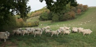 ‘I’m not sure I see a future!’