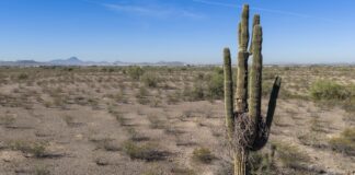 US suffers hottest March day ever recorded as heat dome drives up temperatures | US News