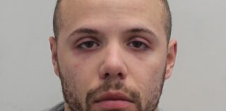 Van driver jailed after killing London student | UK News