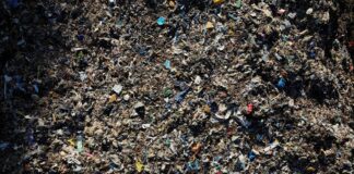 Environment Agency enforcement officers could be given ‘police-style’ powers to tackle waste crime | UK News