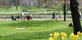 UK weather: Temperatures could soar to 21C as sunshine arrives | UK News