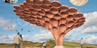 What future do you want for Sycamore Gap tree? Vote now on what’s next for the felled landmark | UK News