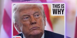 Why Europe is finally standing up to Donald Trump | US News