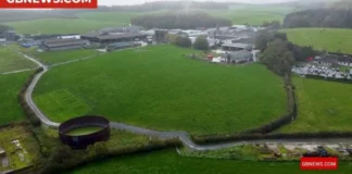 Northern Ireland farm accused of poor animal welfare as whistleblower speaks to GB News